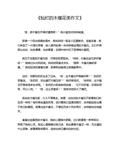 《灿烂的木槿花美作文》
