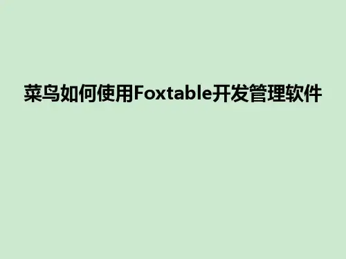 菜鸟学习Foxtable开发 ppt课件