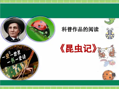第五单元名著导读《昆虫记》课件(23张PPT).ppt
