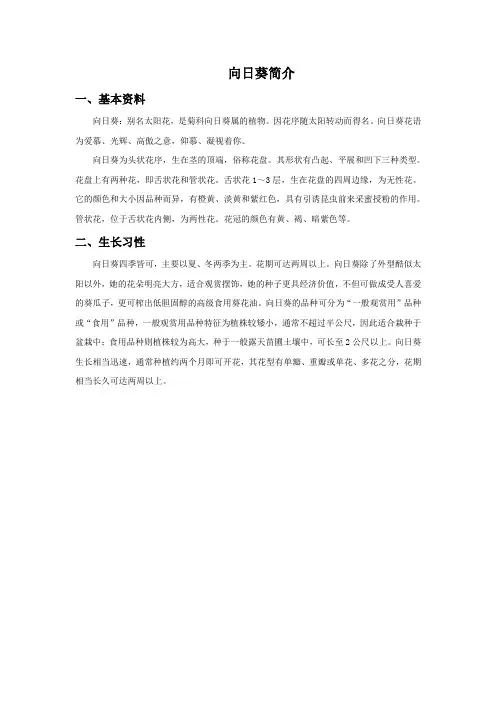 向日葵简介