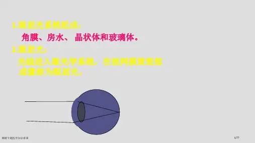 眼睛专题医学知识讲课