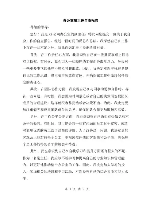 办公室副主任自查报告