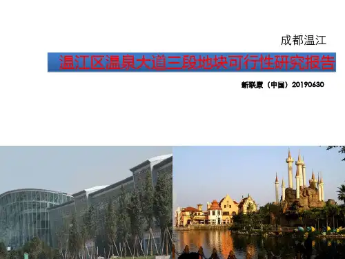 2019成都温江区温泉大道三段地块可行性研究报告