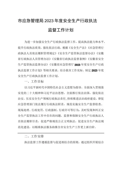 市应急管理局2023年度安全生产行政执法监督工作计划