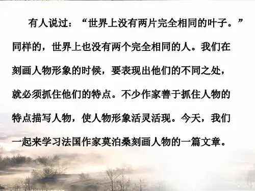 《福楼拜家的星期天》公开课课件.ppt