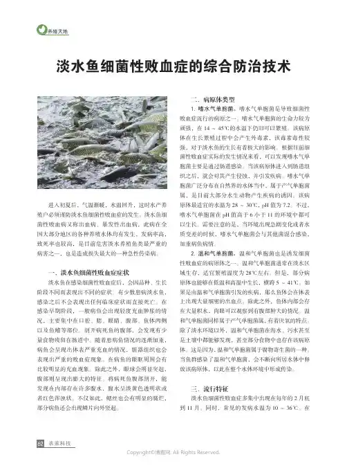 淡水鱼细菌性败血症的综合防治技术