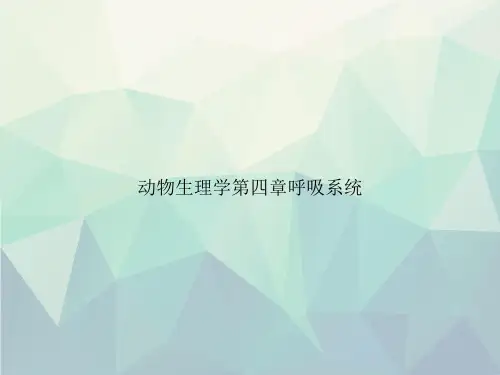 动物生理学第四章呼吸系统专选课件