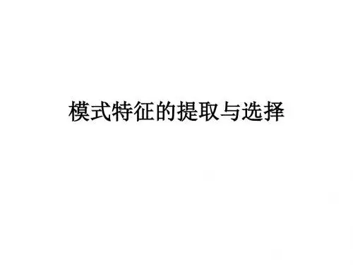 模式特征的提取与选择