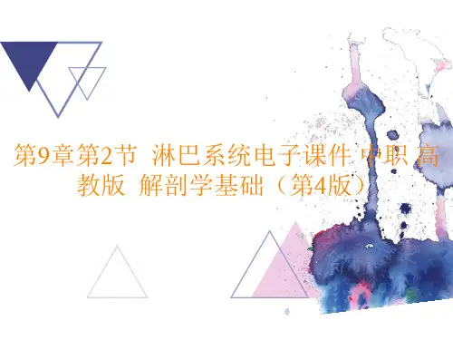 解剖学基础(第4版)《淋巴系统》PPT课件