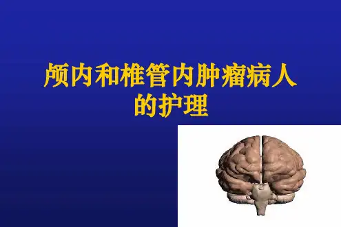 颅内和椎管内肿瘤ppt课件