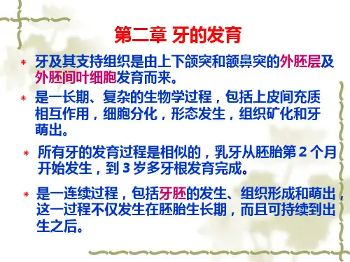 第二章 牙的发育