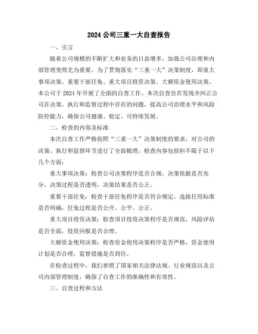 2024公司三重一大自查报告