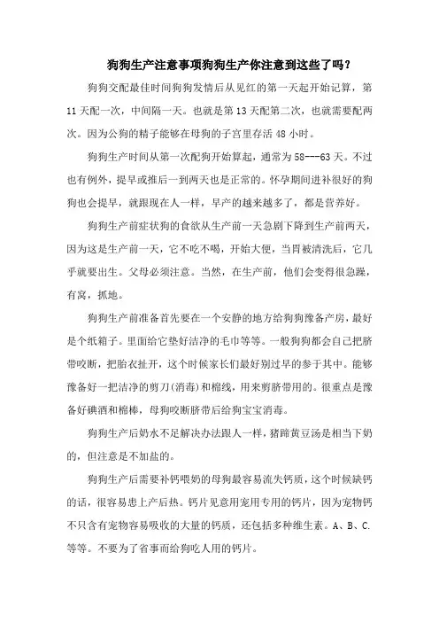 狗狗生产注意事项狗狗生产你注意到这些了吗？