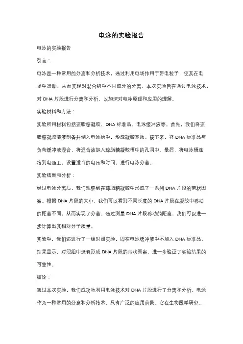 电泳的实验报告