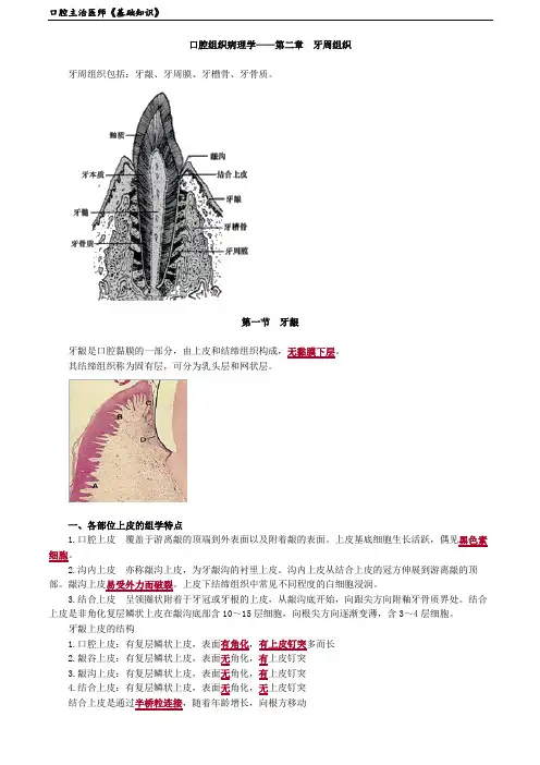 口腔主治医师《基础知识》0201