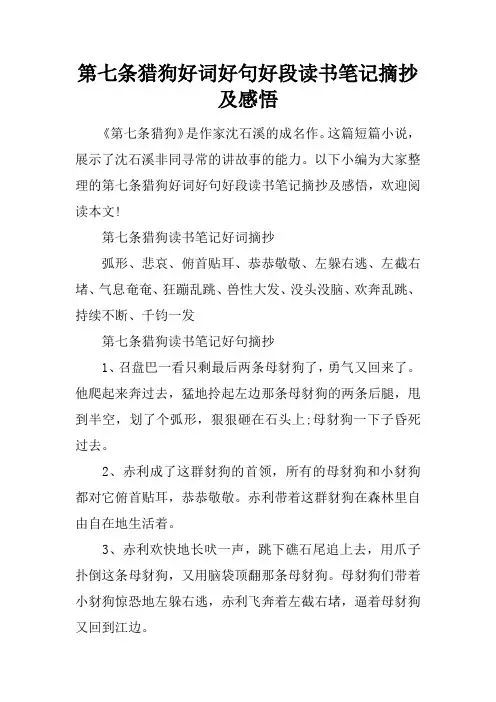 第七条猎狗好词好句好段读书笔记摘抄及感悟