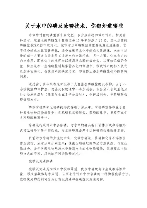 关于水中的磷及除磷技术,你都知道哪些