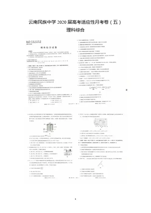 云南民族中学2020届高考适应性月考卷(五)理综含答案