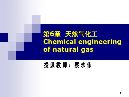 《化工工艺学》第6章  天然气化工.ppt