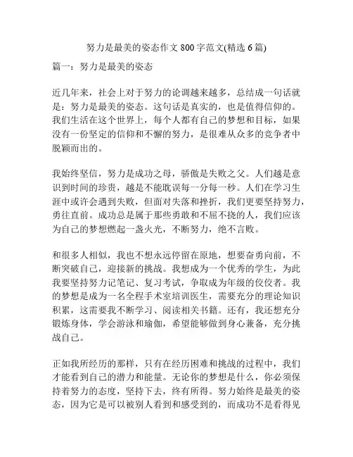 努力是最美的姿态作文800字范文(精选6篇)