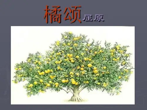 (完整版)大学语文《橘颂》