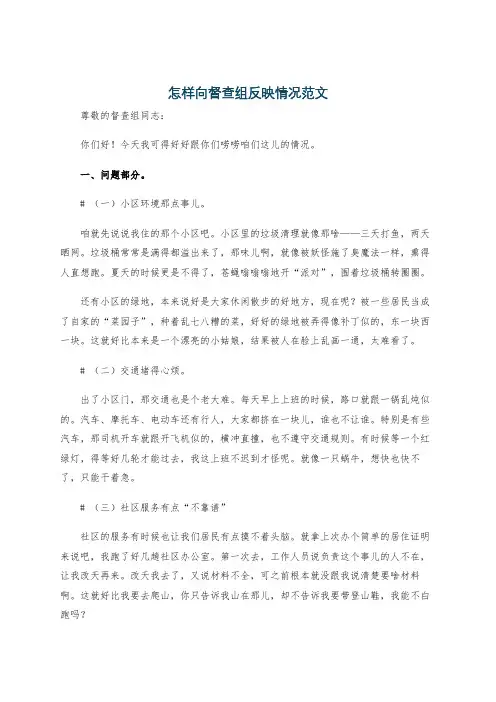 怎样向督查组反映情况范文