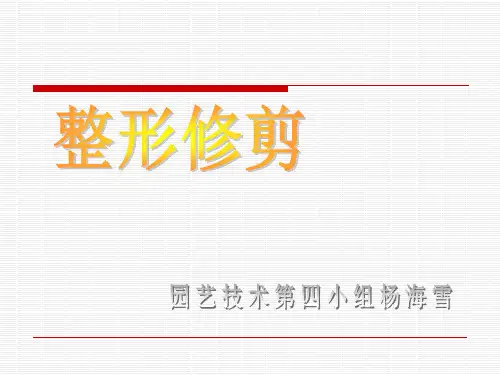 苹果的整形修剪