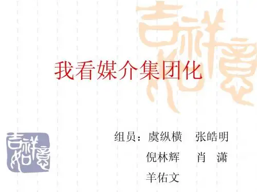 我看媒介集团化