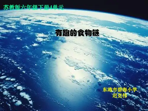 【苏教版】-科学《有趣的食物链》PPT-实用课件1