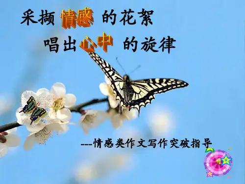 《情感作文指导》PPT课件
