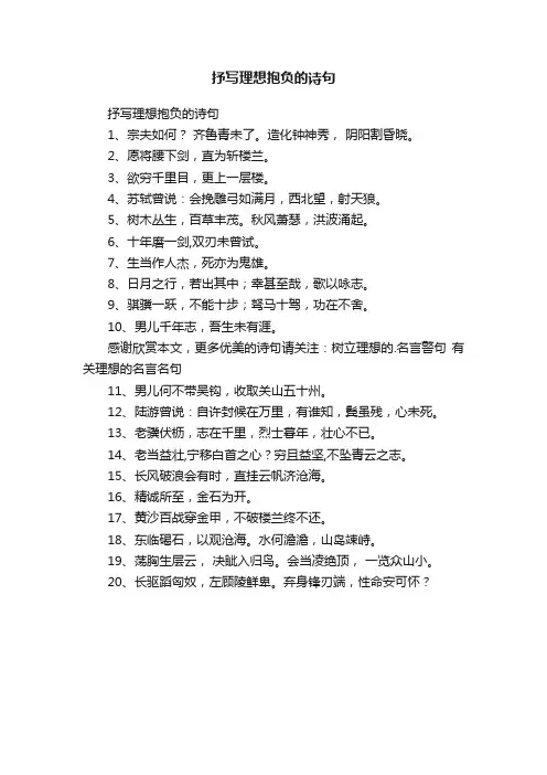 抒写理想抱负的诗句