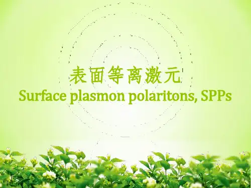 表面等离激元