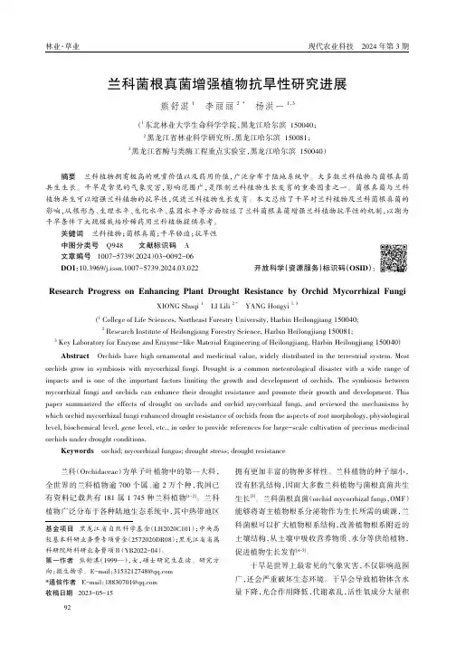 兰科菌根真菌增强植物抗旱性研究进展