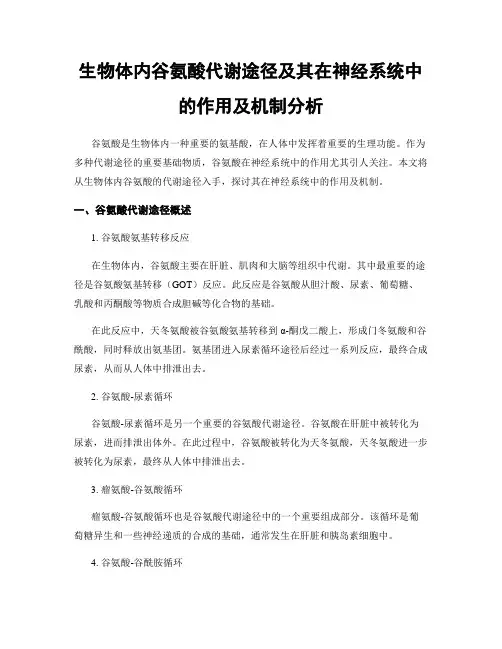 生物体内谷氨酸代谢途径及其在神经系统中的作用及机制分析