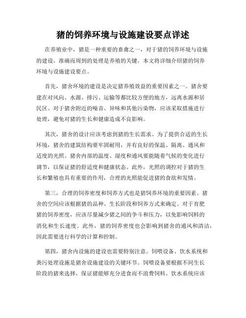 猪的饲养环境与设施建设要点详述