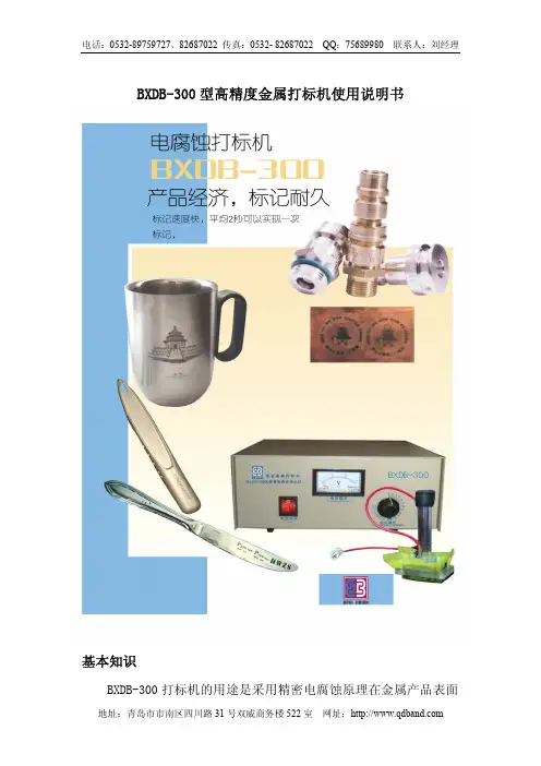 BXDB-300 型高精度金属打标机说明书