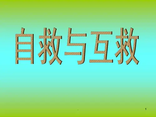 常用自救互救技能