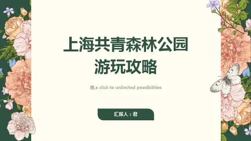 上海共青森林公园游玩攻略