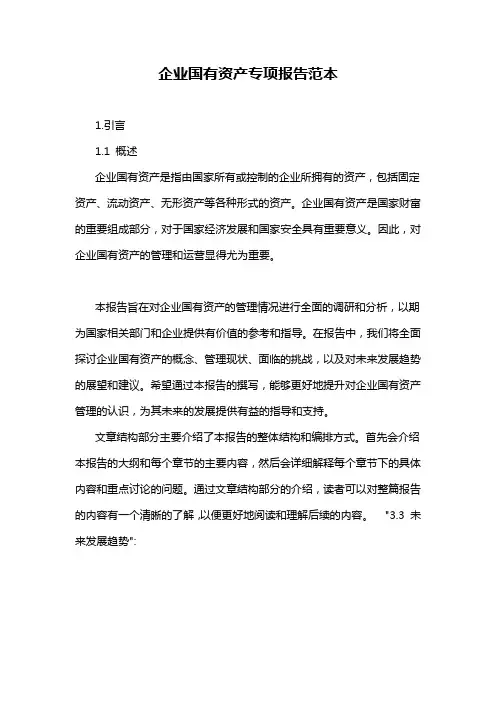 企业国有资产专项报告范本