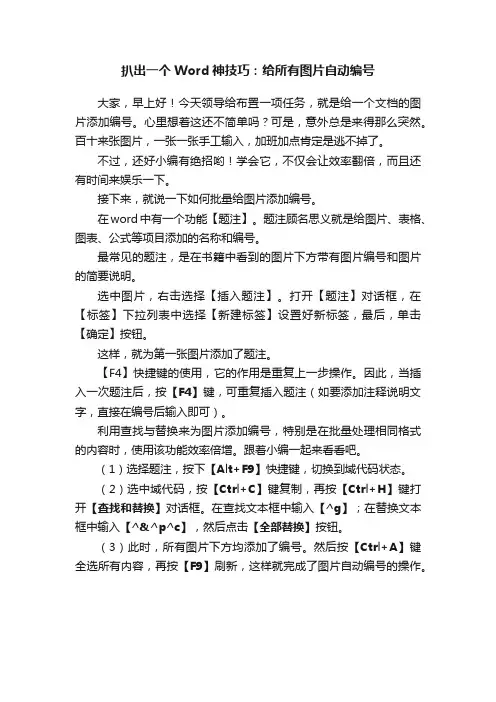 扒出一个Word神技巧：给所有图片自动编号