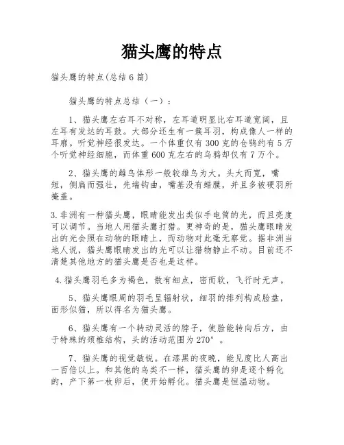 猫头鹰的特点