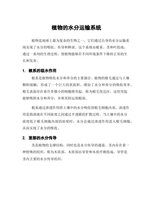 植物的水分运输系统