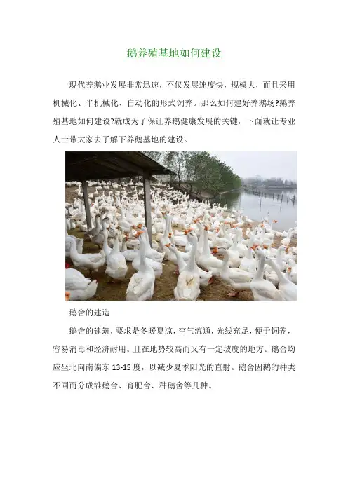 鹅养殖基地如何建设