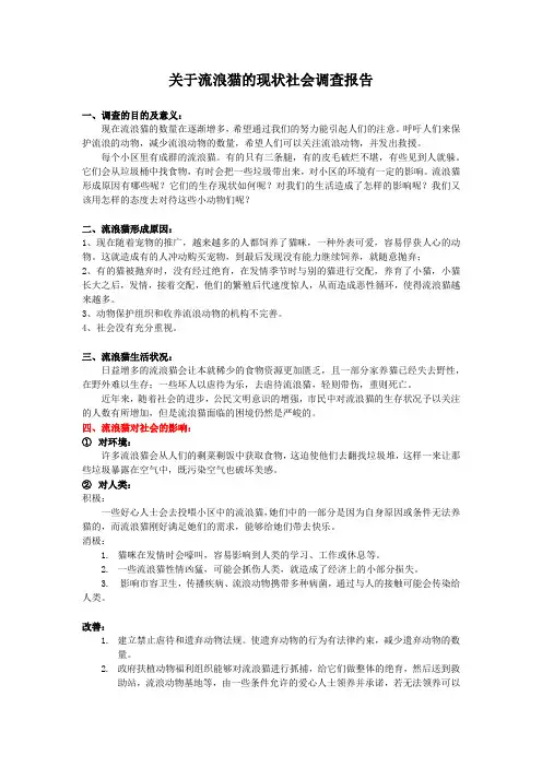 流浪猫(2)