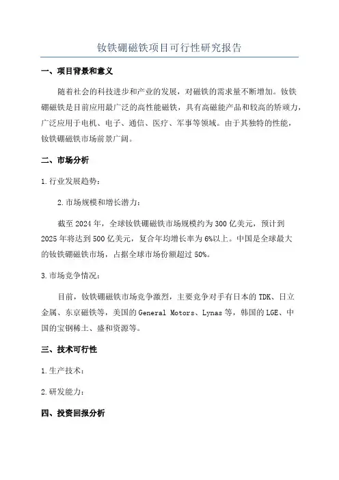 钕铁硼磁铁项目可行性研究报告