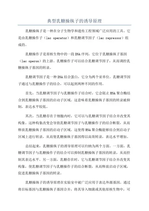 典型乳糖操纵子的诱导原理