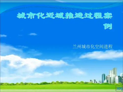 城市化近域推进过程案例