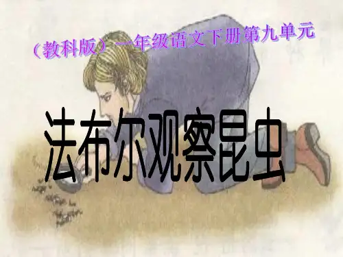 法布尔观察昆虫PPT课件