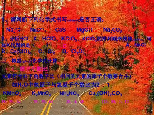 九年级化学上册 相对分子质量的计算课件 