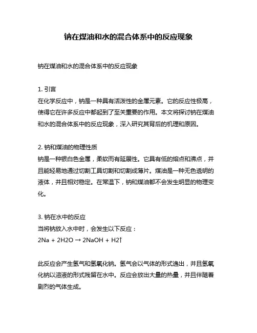钠在煤油和水的混合体系中的反应现象